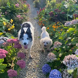 Homestay Furthest Point West, Galway